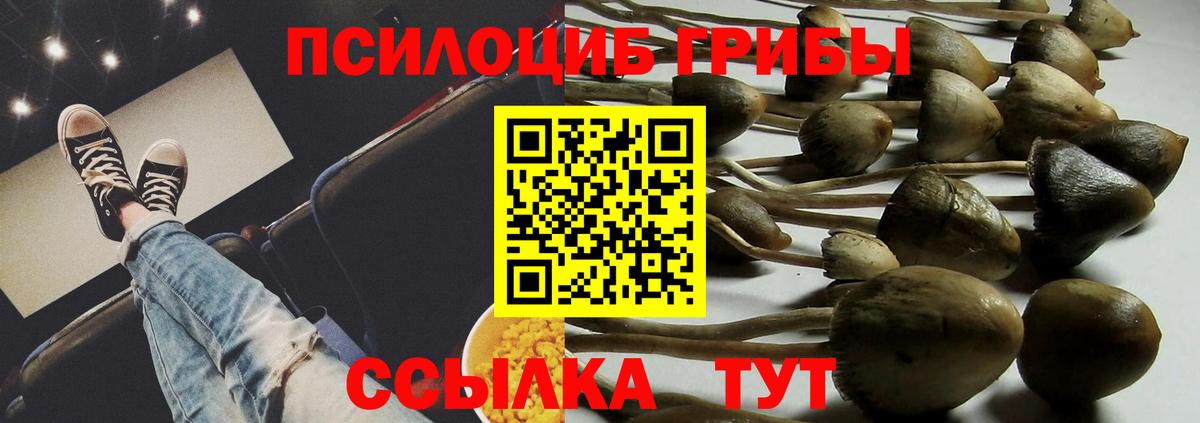 Михайловск  Галлюциногенные грибы мухоморы  Галлюциногенные грибы Cubensis  Вход с VPN 